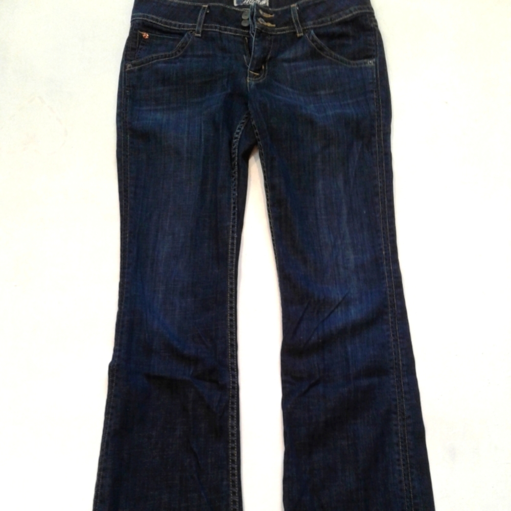 Hudson wide leg jeans